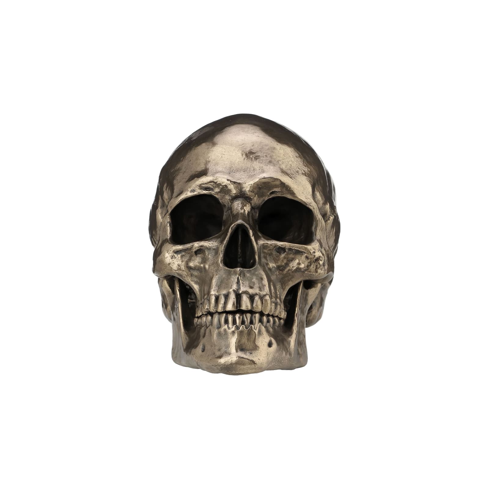Realistic Skull Statue β Cold-Cast Bronze, 22Γ16 cm β Statues & figurines from ArtStatues