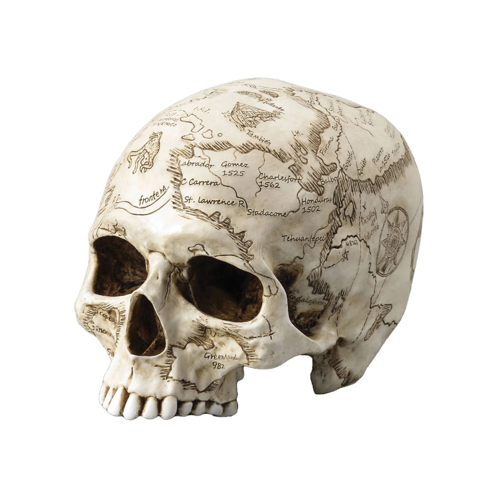World Map Engraved Skull β Explorerβs Resin Ornament, 18Γ13 cm β Statues & figurines from ArtStatues
