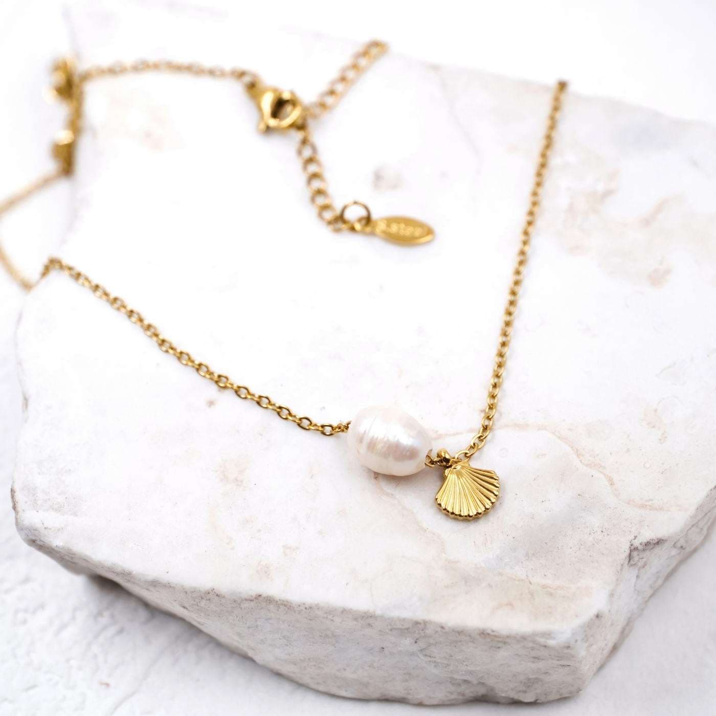 Inox Sea Shell Chain Necklace — Necklaces from Toolittle