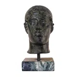 Bust of the Charioteer of Delphi – 18 cm