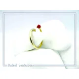 Adjustable Band with Alabaster Rose flower gem: Handmade Sterling Silver 18K Gold-Filled Ring