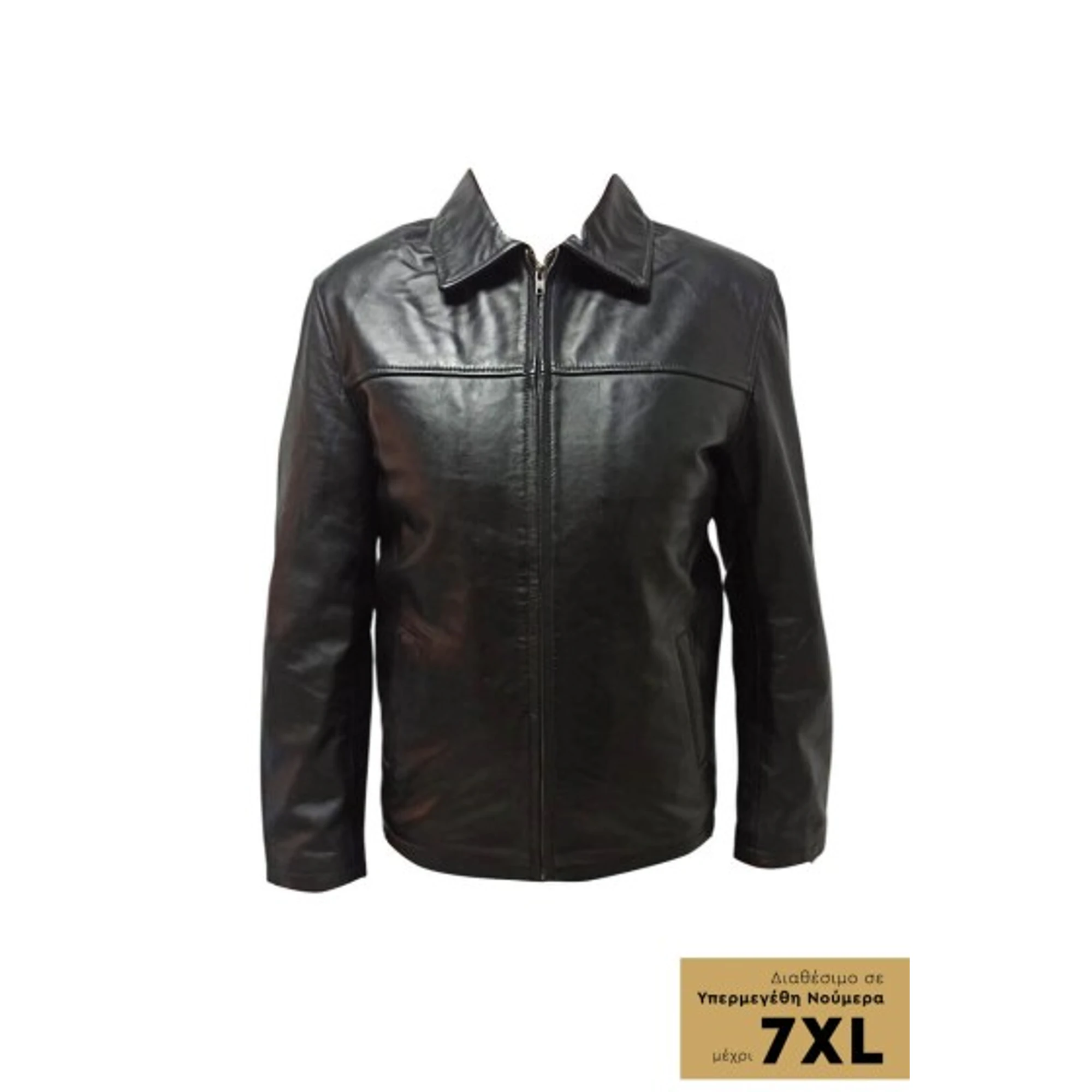 Men's Leather Jacket TLM0178