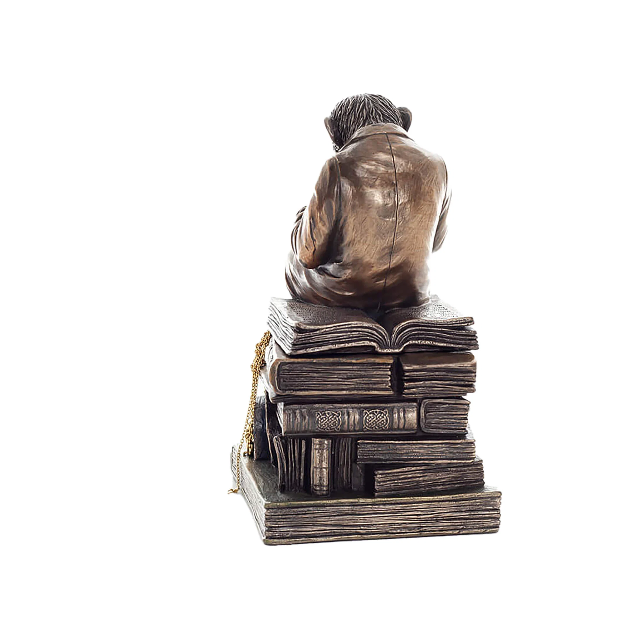 Wise Monkey of Evolution Statue 17.5cm Veronese Cold-Cast Bronze – Knowledge and Reflection — additional product image 3 from ArtStatues