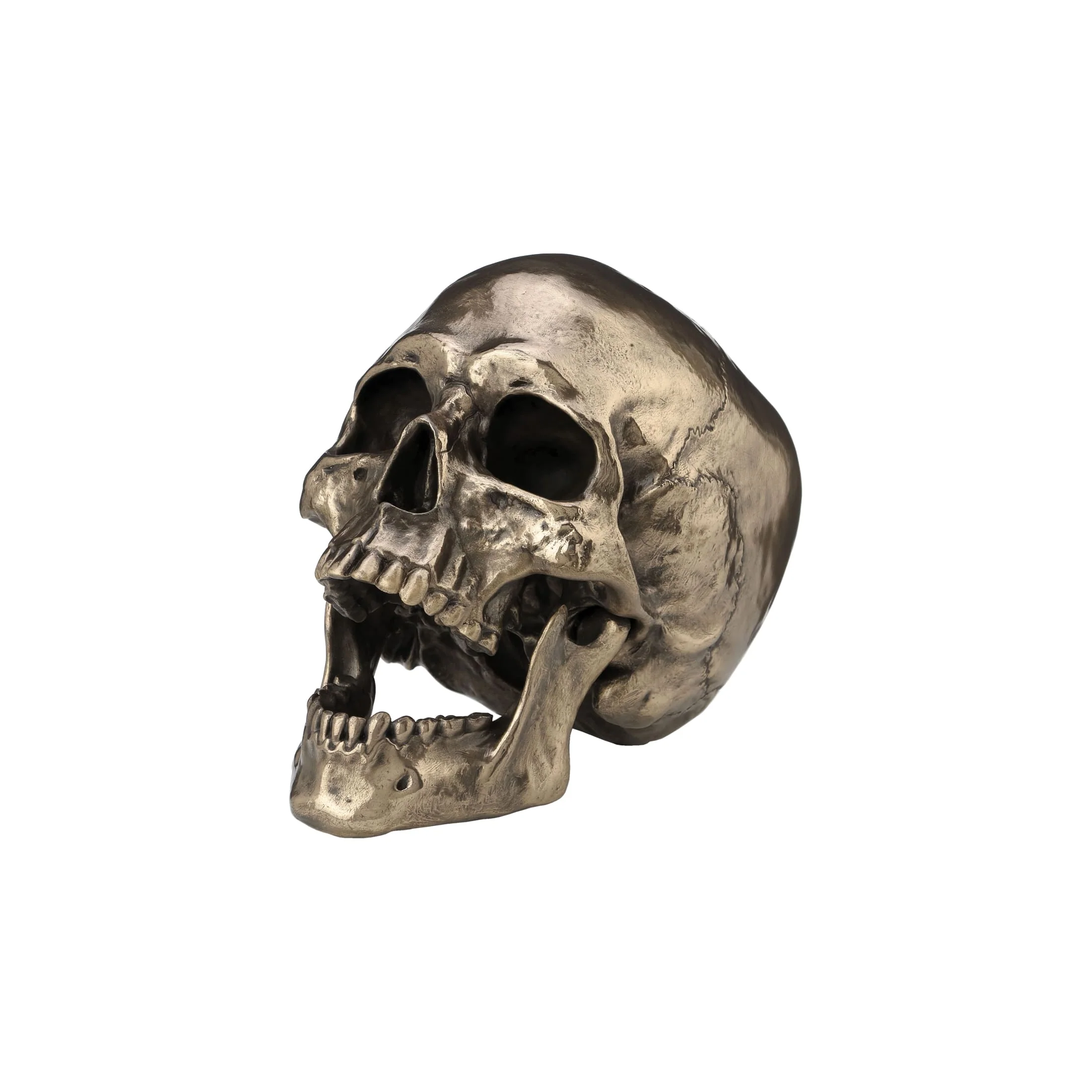 Realistic Skull Statue – Cold-Cast Bronze, 22×16 cm — additional product image 2 from ArtStatues