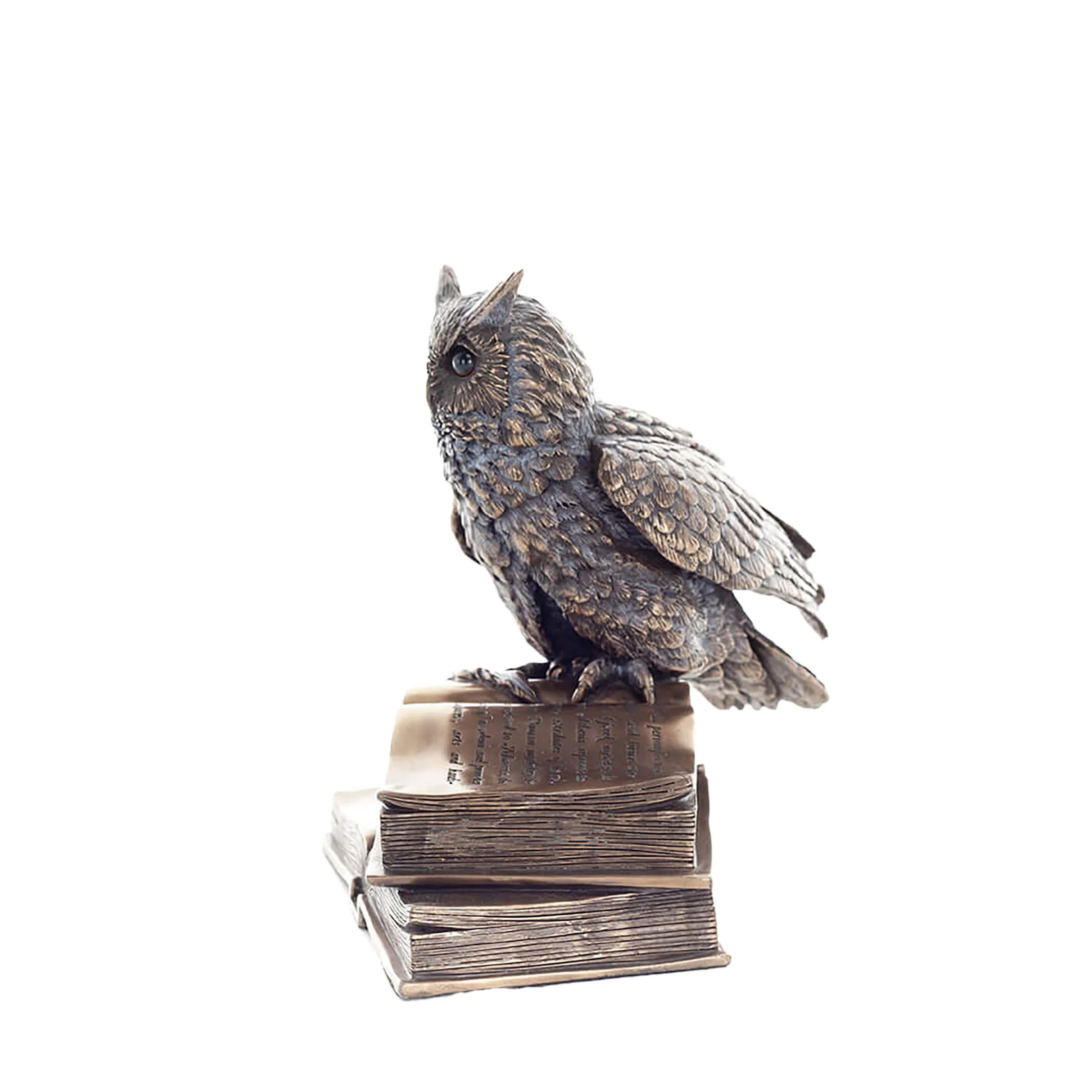Wise Owl on Books Statue – 17cm Veronese Cold-Cast Bronze Knowledge & Wisdom Figurine — additional product image 2 from ArtStatues