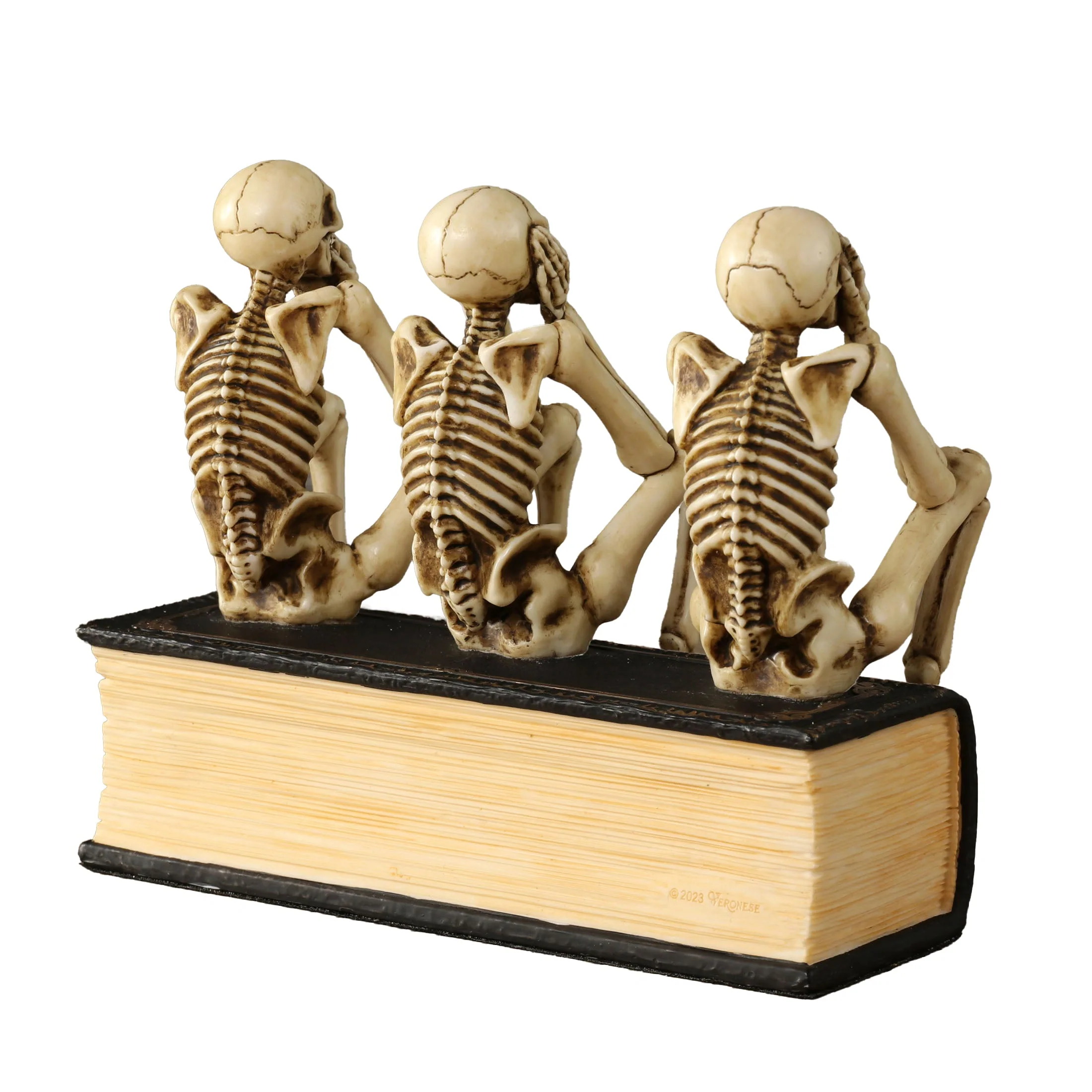 Three Wise Skeletons Sitting On Book 15cm Veronese Statue — additional product image 4 from ArtStatues