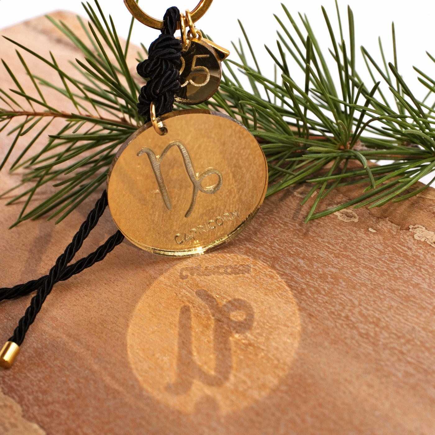 Capricorn Sign Lucky Keychain — Pendants & charms from Toolittle — additional view 5