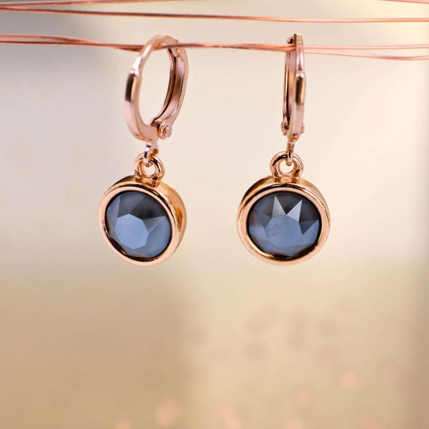 Crystal Collection: Rose Gold-Plated Hoop Earrings — Earrings from Toolittle — additional view 2