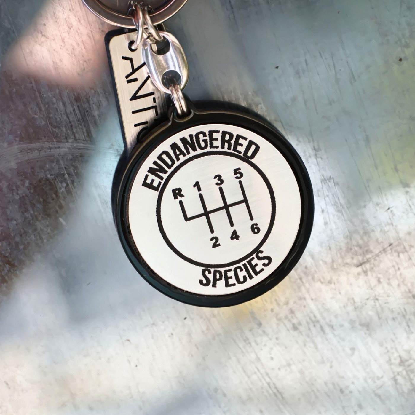 Endangered Species Men’s Keychain — Pendants & charms from Toolittle — additional view 3