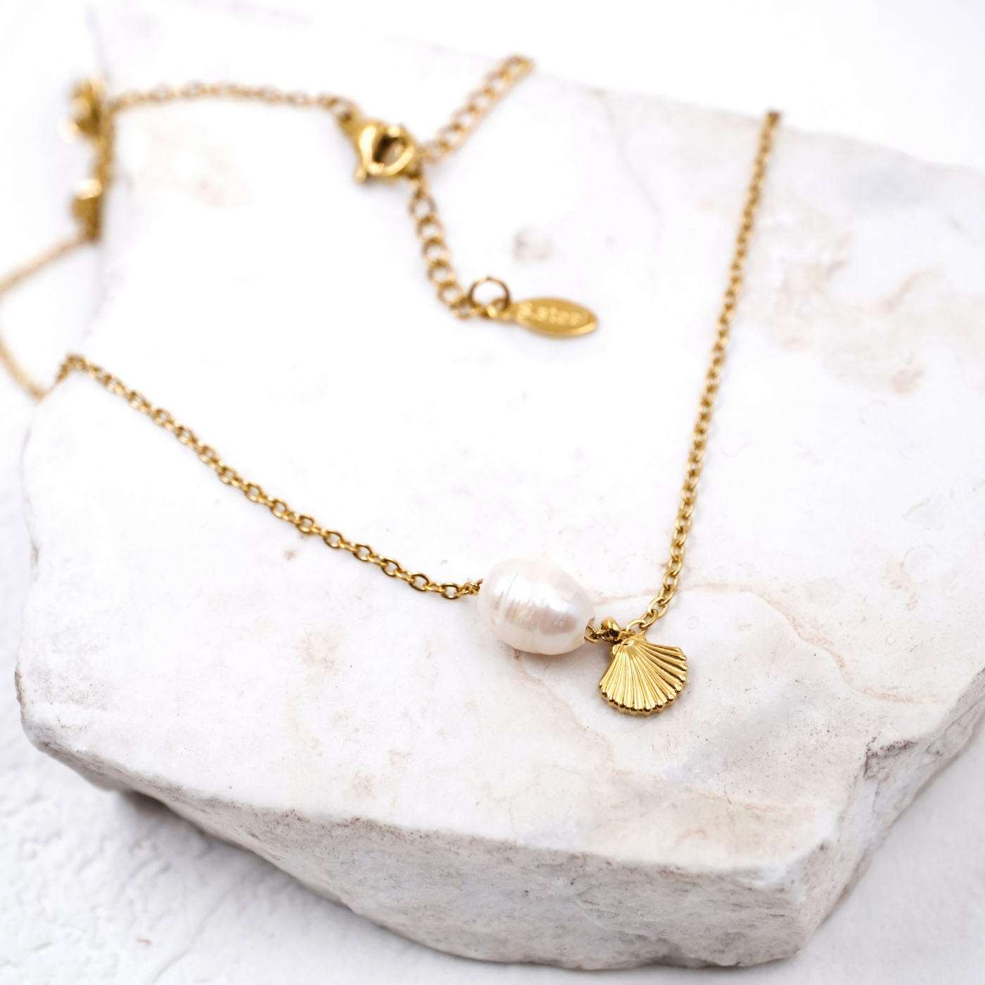 Inox Sea Shell Chain Necklace